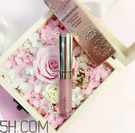 byterry玫瑰唇蜜好用嗎？byterry玫瑰唇蜜多少錢？