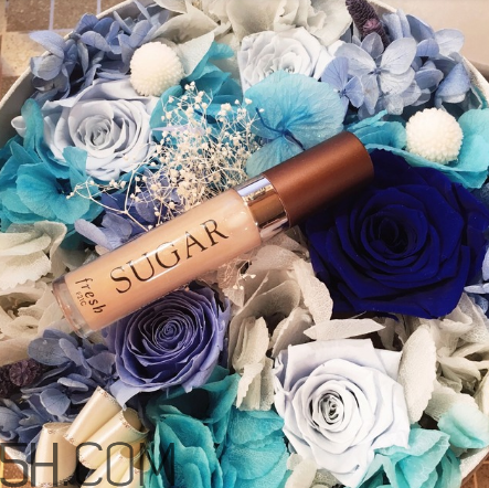 fresh唇蜜好用嗎？fresh唇蜜多少錢？