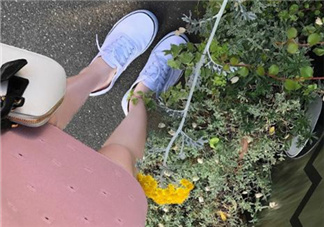 帆布鞋可以用洗衣機(jī)洗嗎？帆布鞋可以干洗嗎？