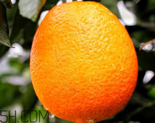 冰糖橙和臍橙哪個(gè)好吃 冰糖橙和臍橙的區(qū)別 冰糖橙和臍橙哪個(gè)好吃 冰糖橙和臍橙的區(qū)別