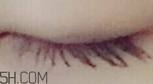 巧迪尚惠睫毛膏多少錢？巧迪尚惠睫毛膏怎么用