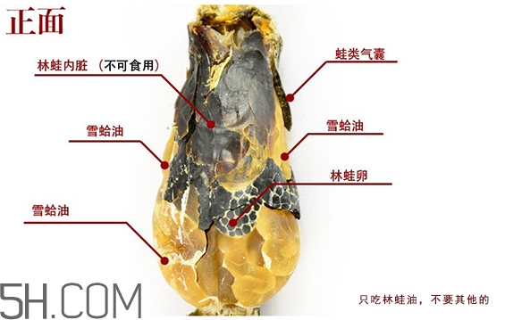 林蛙哪些部位不能吃？林蛙有什么營養(yǎng)