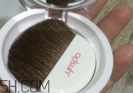 巧迪尚惠腮紅多少錢？巧迪尚惠腮紅專柜價格