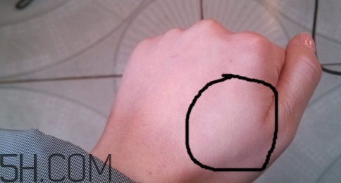 巧迪尚惠粉餅好用嗎？巧迪尚惠粉餅多少錢(qián)？