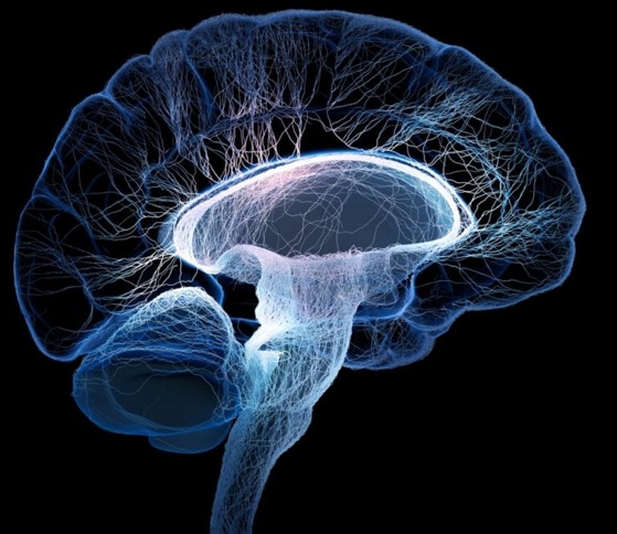 腦死亡和人死亡有什么區(qū)別？腦死亡人還有救嗎