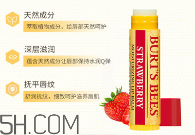 小蜜蜂水果味皇牌潤唇膏 小蜜蜂水果味皇牌潤唇膏