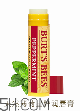小蜜蜂水果味皇牌潤唇膏 小蜜蜂水果味皇牌潤唇膏