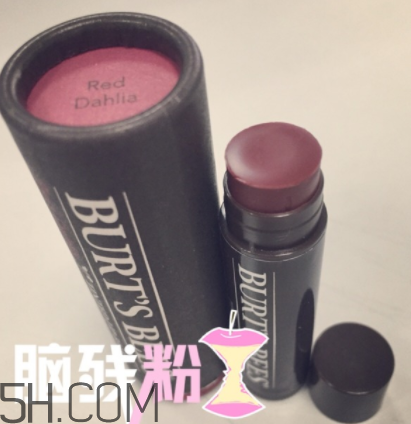 小蜜蜂有色唇膏孕婦可以用嗎？小蜜蜂有色唇膏好用嗎？