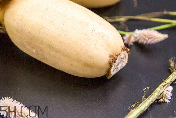 蓮藕是什么季節(jié)成熟的？蓮藕什么時候種植