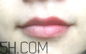 小蜜蜂唇膏筆怎么樣？小蜜蜂唇膏筆好用嗎？