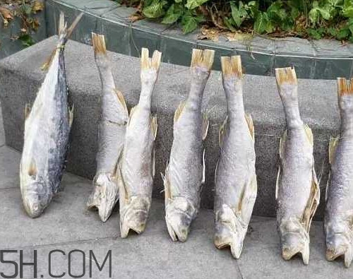 咸魚(yú)長(zhǎng)毛還能吃嗎？怎樣辨別咸魚(yú)是否變質(zhì)