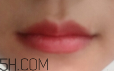 小蜜蜂口紅好用嗎？小蜜蜂口紅試色