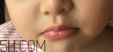 小蜜蜂口紅好用嗎？小蜜蜂口紅試色