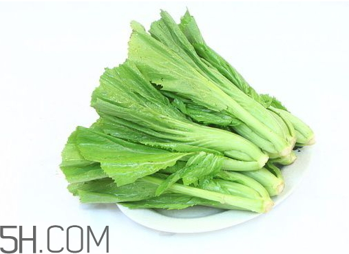 芥菜是涼性的嗎 芥菜是寒性還是溫性 芥菜是涼性的嗎 芥菜是寒性還是溫性