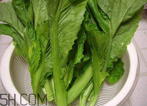 芥菜是涼性的嗎 芥菜是寒性還是溫性 芥菜是涼性的嗎 芥菜是寒性還是溫性