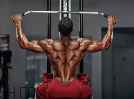 高位下拉能代替引體向上嗎？高位下拉和引體向上的區(qū)別