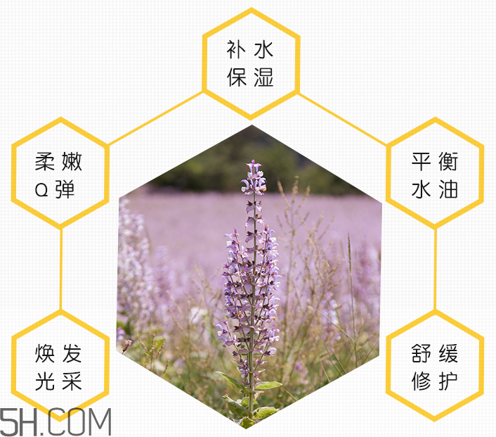 小蜜蜂臻至補(bǔ)濕修護(hù)面膜 小蜜蜂臻至補(bǔ)濕修護(hù)面膜