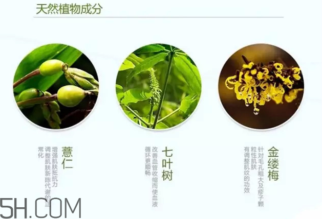 奧爾濱健康水的功效 奧爾濱健康水的其它使用方法 奧爾濱健康水的功效 奧爾濱健康水的其它使用方法