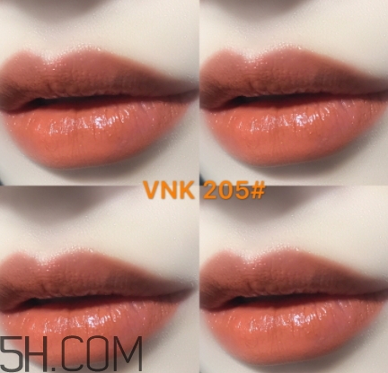 vnk口紅南瓜色色號(hào)試色 vnk口紅南瓜色色號(hào)試色