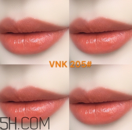 vnk口紅南瓜色色號(hào)試色 vnk口紅南瓜色色號(hào)試色