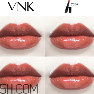 vnk口紅南瓜色色號(hào)試色 vnk口紅南瓜色色號(hào)試色