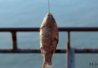 咸魚什么人不能吃？怎樣去除咸魚的咸