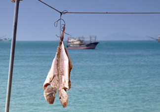 咸魚有營養(yǎng)嗎？咸魚怎么腌制家常做法