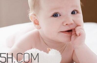 小蜜蜂潤膚露怎么樣？小蜜蜂潤膚露好用嗎？