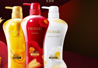 絲蓓綺和沙宣哪個好？水之密語與絲蓓綺哪個好用