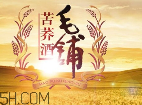 苦蕎酒到底毛鋪的好還是蕎升的好？黑苦蕎酒對身體有什么好處