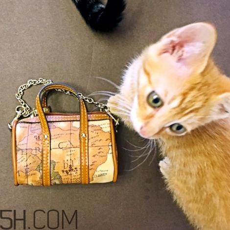 sobdeall包包什么檔次？sobdeall是輕奢品牌嗎？