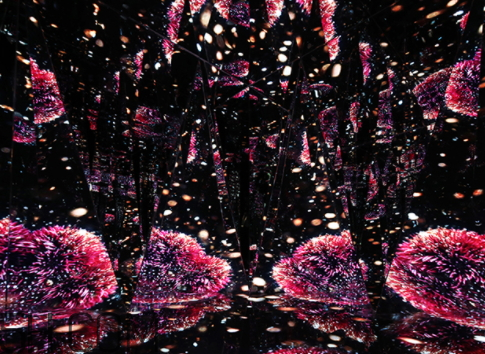 海藍(lán)之謎鎏金煥顏精華眼霜多少錢？好用嗎？