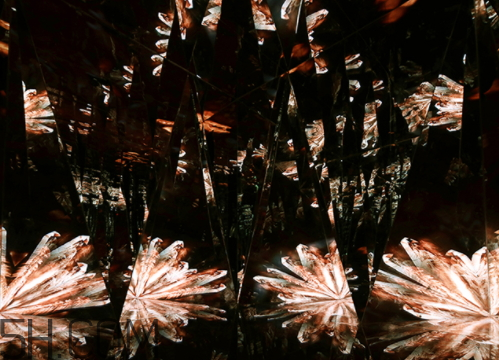 海藍之謎鎏金煥顏精華液多少錢？怎么用？