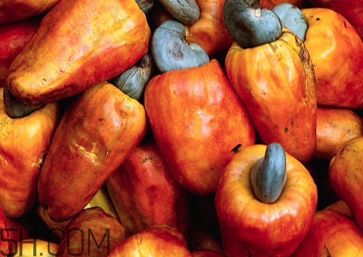 腰果什么時(shí)候成熟？腰果什么時(shí)候吃最好