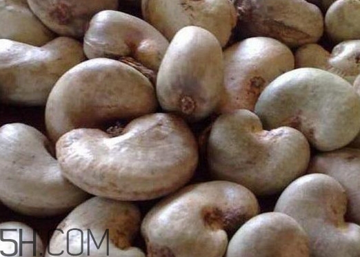 腰果有殼嗎？為什么沒有賣的腰果梨