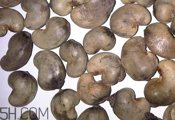 腰果每天吃多少合適？腰果不能和什么一起吃