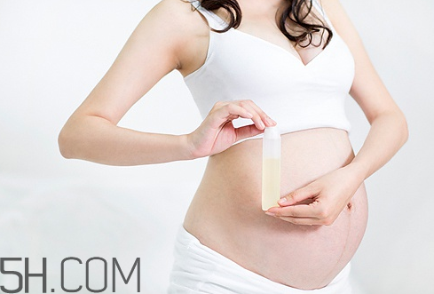 雅詩蘭黛孕婦可以用嗎？雅詩蘭黛口紅最火色號推薦