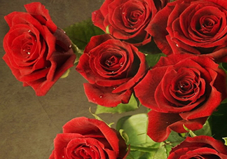 干玫瑰色口紅哪個(gè)牌子好？干玫瑰色口紅真人試色