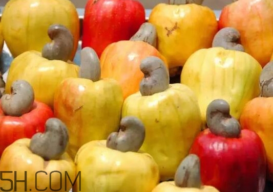 腰果梨好吃嗎？腰果梨怎么吃？