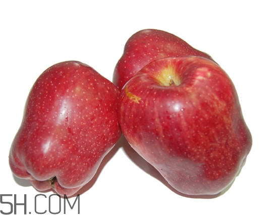 花牛蘋果是轉(zhuǎn)基因嗎？天水花牛蘋果幾月成熟