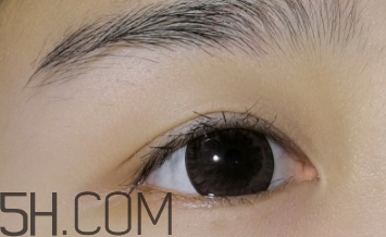 sakinre莎琪麗睫毛膏好用嗎？莎琪麗睫毛膏多少錢