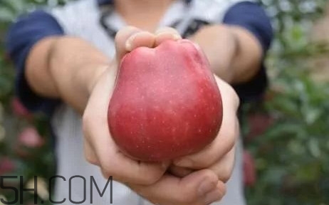 如何鑒別花牛蘋(píng)果？為什么叫花牛蘋(píng)果