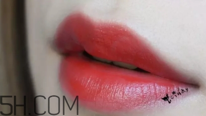 mac lady bug好看嗎？lady bug試色