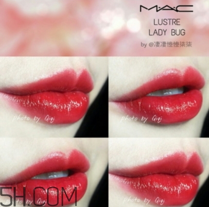 mac lady bug好看嗎？lady bug試色