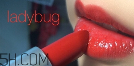 mac lady bug掉色嗎？mac ladybug真假辨別