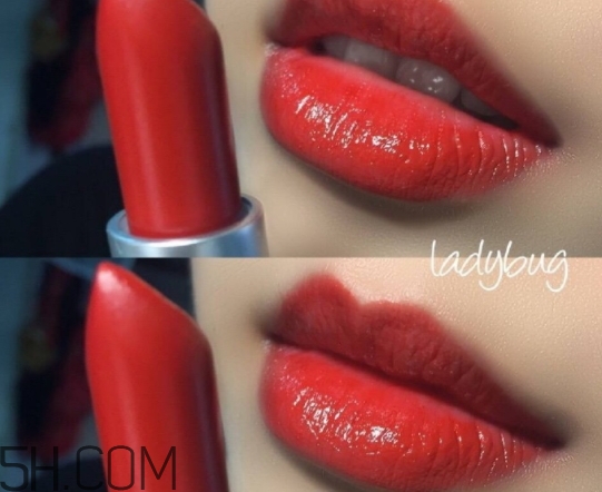 mac lady bug掉色嗎？mac ladybug真假辨別