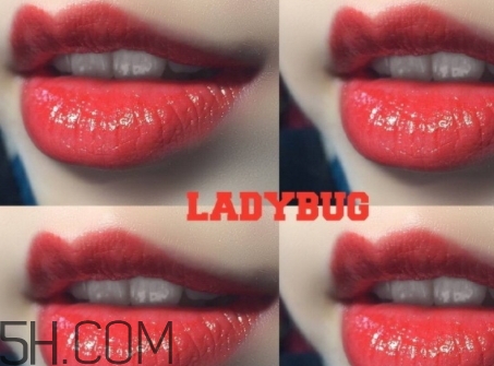 mac ladybug多少錢？mac lady bug專柜價(jià)格