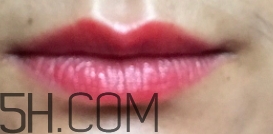 mac ladybug多少錢？mac lady bug專柜價(jià)格