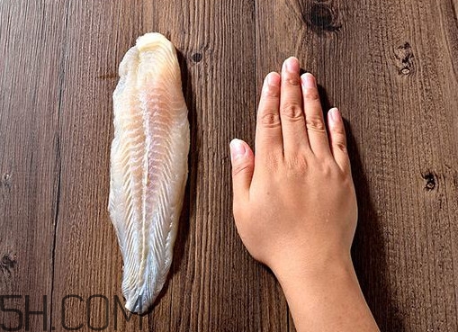 巴沙魚(yú)怎么解凍？巴沙魚(yú)怎么切片