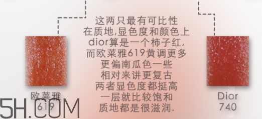 歐萊雅619和迪奧740像嗎？歐萊雅619秋葉和迪奧740對比